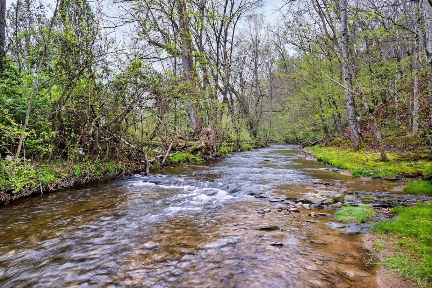 1 Mile To Pkwy, Pets, Hot Tub, Creekside, Porch Villa Pigeon Forge Exteriör bild
